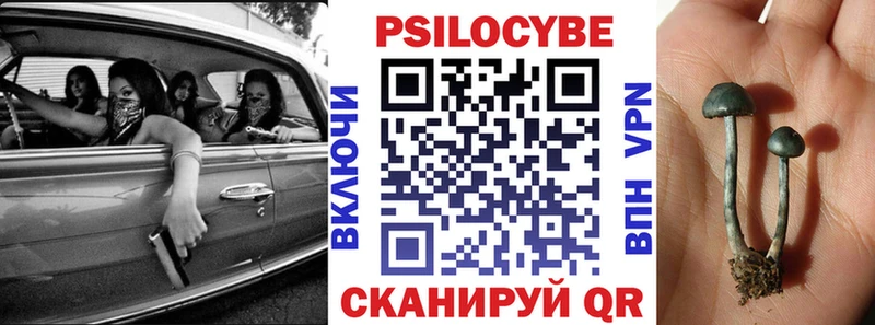 Псилоцибиновые грибы MAGIC MUSHROOMS  Купить  Кимовск 
